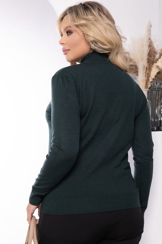 327865 LT Collection Turtleneck