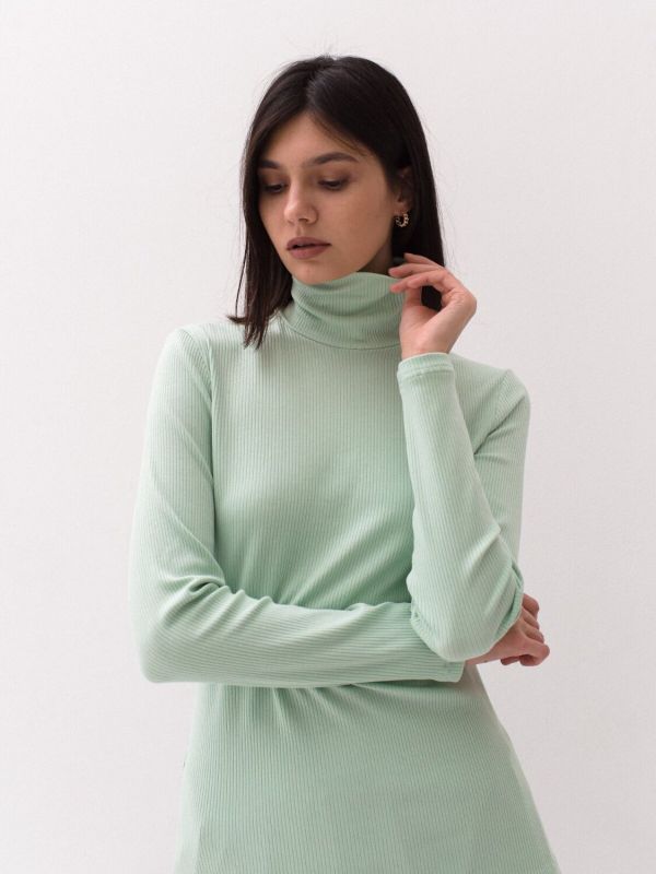 329199 Gloria Turtleneck